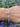 Marquise Faceted Moonstone Sterling Silver Bracelet