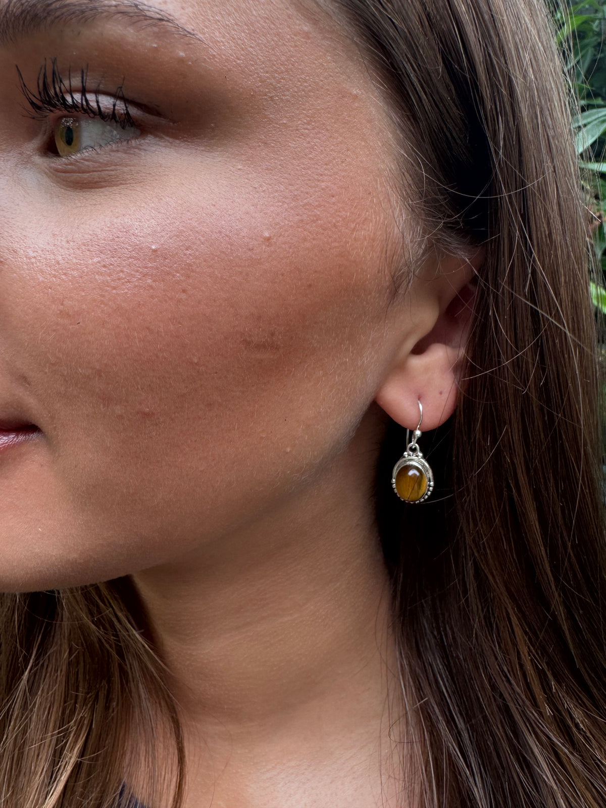 Tiger Eye Oval Dot Silver Earrings