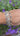 Marquise Faceted Iolite Sterling Silver Bracelet