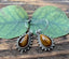 Silver Tigereye Boho Teardrop Earrings by Springwaves